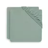 cumpără Lenjerie de pat pentru copii Jollein 2511-507-00095 Cearsaf cu elastic Jersey Ash Green, 120x60cm, 2buc în Chișinău 