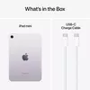 купить Планшетный компьютер Apple iPad mini 7 2024 Wi-Fi 256GB Purple MXNE3 в Кишинёве 