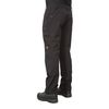 cumpără Pantaloni barbati Trespass Passcode M's Mosquito Repellent Trousers, MABTTRN20002 în Chișinău 