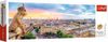 купить Головоломка Trefl 29029T Puzzle 1000 Panorama - View from the Cathedral of Notre-Dame de Paris в Кишинёве 