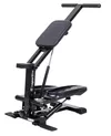купить Степпер inSPORTline 13561 Stepper (110kg) 30769 3-in-1 Astario в Кишинёве 