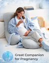 cumpără Pernă pentru gravide și mame care alăptează Momcozy PP102-GR00NB-B Perna pentru gravide in forma de U Cooling Fabric Light Grey în Chișinău 