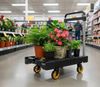 cumpără Cărucior GardenLine REA5126 în Chișinău 