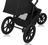 cumpără Сărucior pentru copii Lionelo Azura Black Onyx (3 roti) în Chișinău 
