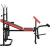 cumpără Banca pentru antrenament de forţă FunFit 4807 Black/Red în Chișinău 