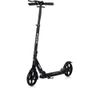 купить Самокат Chipolino DSRID0261BK Rider black до 100кг в Кишинёве 