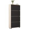 купить Полка для обуви Mobildor-Lux Leo Slim 50x16x164H cm Sonoma/Anthracite в Кишинёве 