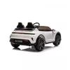 cumpără Mașină electrică pentru copii Golden Baby BDM0988 Porsche Taycan Turbo S (2 locuri), alb, 1582D în Chișinău 