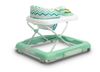 cumpără Premergător Toyz 20766 Timon Mint în Chișinău 