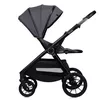 купить Детская коляска Lionelo Carucior 2in1 Layla Grey Stone в Кишинёве 