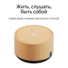 cumpără Boxă portativă Bluetooth Yandex YNDX-00025B Alisa Station Lite Beige Cappucino în Chișinău 