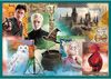 купить Головоломка Trefl 90392 Puzzles - 10in1 - In the world of Harry Potter / Warner Harry Potter в Кишинёве 