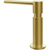 cumpără Accesoriu pentru chiuvete de bucătărie Gessi 29651-716 Dispenser Gold Brushed PVD în Chișinău 