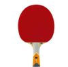 cumpără Articol de tenis Tibhar SL-00014431 Paleta tenis de masa 5 XXX Orange Edition 03014 în Chișinău 