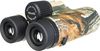 купить Бинокль Levenhuk Camo Maple 10x42 Binoculars with Reticle в Кишинёве 