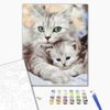 купить Картина по номерам BrushMe BS52689 40x50cm (în cutie) Pisica mamă cu pisoiașul в Кишинёве 