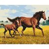 cumpără Tablou pe numere BrushMe BS52394FC 40x50cm (fără cutie) Galop de familie în Chișinău 
