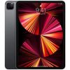 cumpără Tabletă PC Apple iPad Pro 11 (2gen) 128GB WiFi Space Gray MHQR3 în Chișinău 