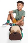купить Детский рюкзак Skip Hop 9L750910 Zoo Catelus Pug в Кишинёве 