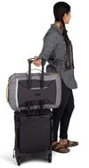 cumpără Rucsac sportiv Osprey Transporter Carry On Bag 36 Euphoria Pr (810165742833) în Chișinău 