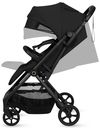 купить Детская коляска Lionelo Tansi Black Onyx в Кишинёве 