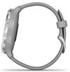 купить Смарт часы Garmin vivomove 3, S/E EU, Silver, Powder Gray, Silicone в Кишинёве 