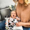 cumpără Iinel dentiție BabyOno 0746 Jucarii teether - Racoon Rocky în Chișinău 