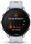купить Смарт часы Garmin Forerunner 955 Solar Whitestone (010-02638-21) в Кишинёве 
