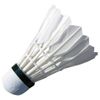 cumpără Echipament sportiv inSPORTline 8616 Fluturasi badminton (6 buc) pana S2089 în Chișinău 