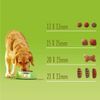 купить Корм для питомцев Purina Friskies Balance Dog hr.usc. p/caini (pui,legume) 10kg (1) в Кишинёве 
