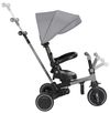 cumpără Bicicletă-cărucior Kikka Boo 31006020167 Tricicleta 8in1 Aluma Grey în Chișinău 