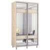 купить Шкаф Mobildor-Lux Aron-S 1.0m-1.8m uși glisante din PAL cu oglindă zebra (120x60x200H cm) Sonoma в Кишинёве 