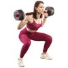 купить Гантель HMS SGP15 bara+disc compozite 15kg в Кишинёве 
