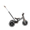 cumpără Bicicletă-cărucior Kikka Boo 31006020164 Tricicleta 5in1 Flash Grey în Chișinău 