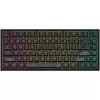cumpără Tastatură gaming Dark Project ALU Terra Nostra Black în Chișinău 