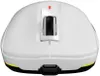 cumpără Mouse gaming Genesis NMG-2192 Zircon 660 Wireless 12000DPI White în Chișinău 