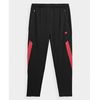 купить Брюки для тренировок 4F TROUSERS FNK M294 4FSS23TFTRM294 RED в Кишинёве 