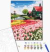 купить Картина по номерам BrushMe BS52716FC 40х50 сm (fără cutie) Provincia olandeză в Кишинёве 