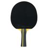 cumpără Articol de tenis Tibhar SL-00014430 Paleta tenis de masa 3 Rookie Drinkhall 03011 în Chișinău 