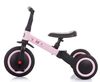 cumpără Bicicletă Chipolino Smarty 3х колесный 2в1 TRKSM0204LP în Chișinău 