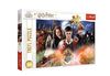 cumpără Puzzle Trefl 23001 Harry Potter, 300el în Chișinău 