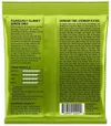 cumpără Coarda pentru instrument muzical Ernie Ball 2221 Nickel Wound - Corzi Chitară Electrică în Chișinău 