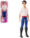 купить Кукла Barbie HLV97 Disney Prințul Eric в Кишинёве 