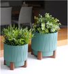 купить Цветочный горшок Aleana 128024 Oslo cu insertie si suport decorartiv d20 cm, verde в Кишинёве 