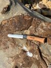 купить Нож походный FOX Knives O VRI7PT Coltelli Opinel Inox в Кишинёве 