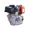 Motor diesel 186F TATA (cu iesire pe arbore sub con) 9 CP