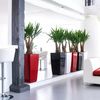 купить Цветочный горшок Lechuza Cubico Premium 40, Taupe в Кишинёве 