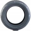купить Шина Fronway 225/55 R18 102V XL EURUS 08 (2EFW261F) в Кишинёве 