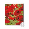 купить Картина по номерам Art Gallery GB86100 Mozaic cu diamante 30x40cm Maci rosii в Кишинёве 