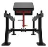 купить Силовой комплекс Impulse 54760 Arm Curl Sl7018 в Кишинёве 